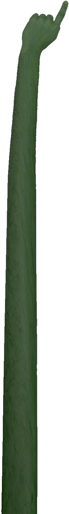 Green Hand