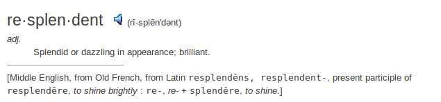    definition resplendent