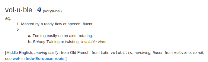    definition voluble