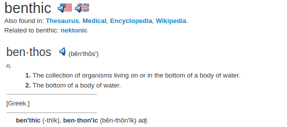 definition benthic definition benthic