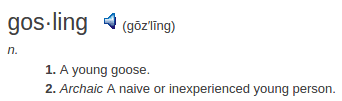 definition gosling definition gosling