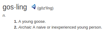 definition gosling