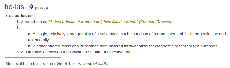 definition bolus
