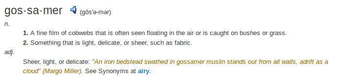    definition gossamer