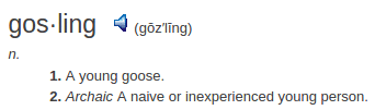 definition gosling